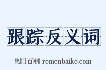 跟踪反义词是什么意思的图片